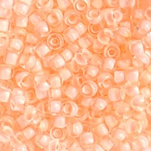 Round #8 Reflection Cantaloupe