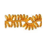 Dagger 3x11mm Transparent Topaz 100bds/str